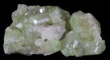 Sparkly Vesuvianite - Jeffrey Mine, Canada #64081-2